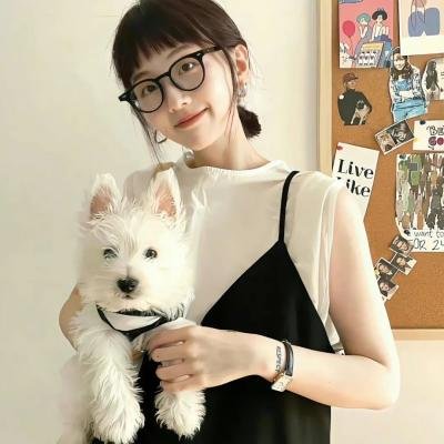 零下的风